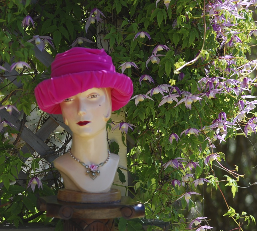 pink velvet 1950s hat with clematis back drop