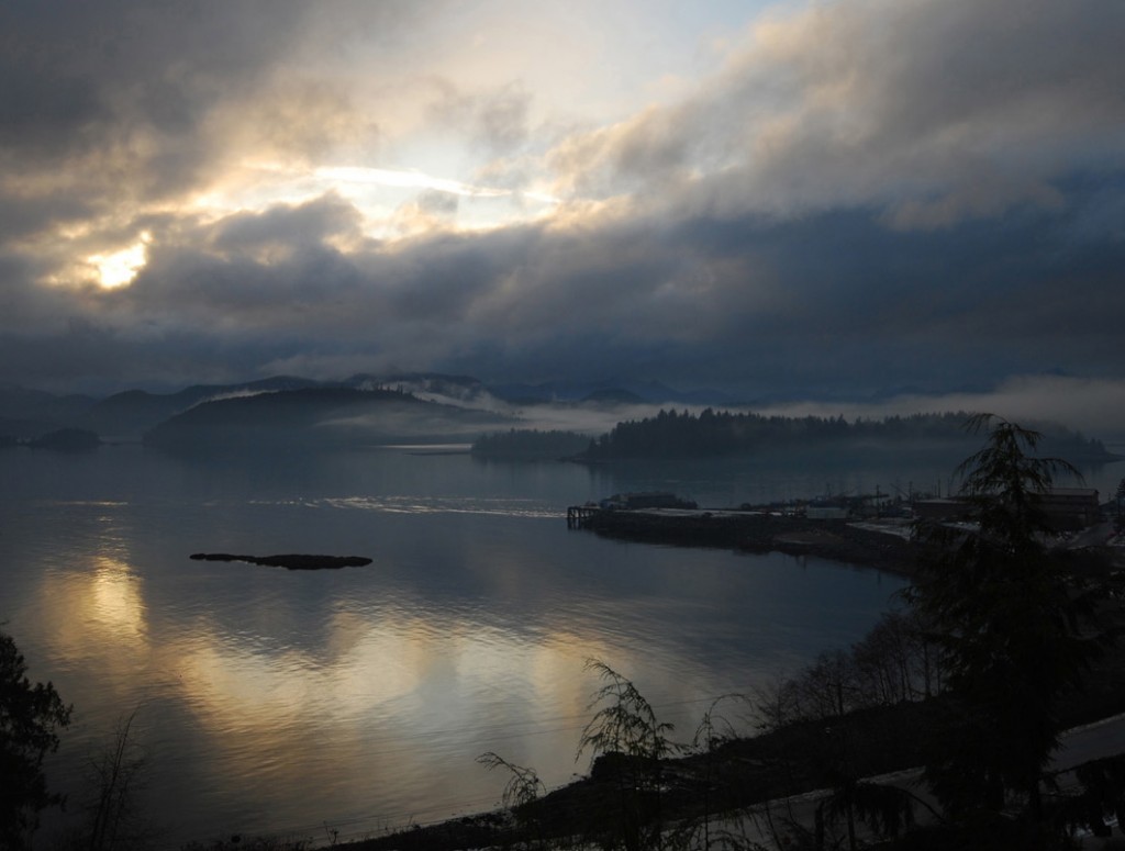 Wide Angled Overcast Harborview