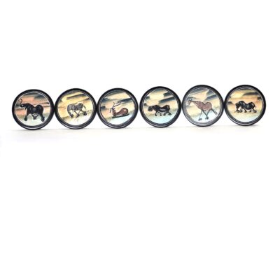 Hand Painted Stone Coaster Set Featuring Various Jungle Animals & Scenes
